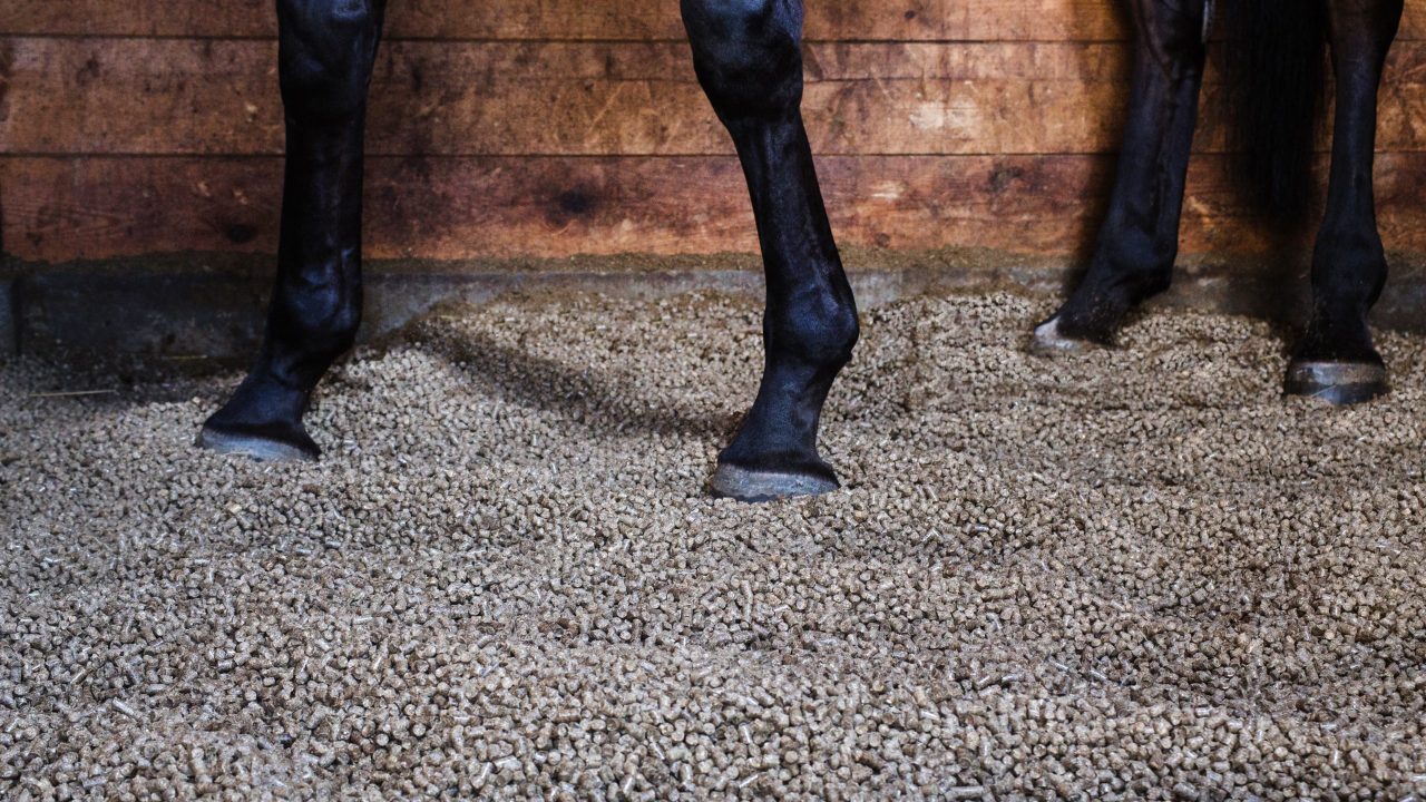 pellets as a lining for horses