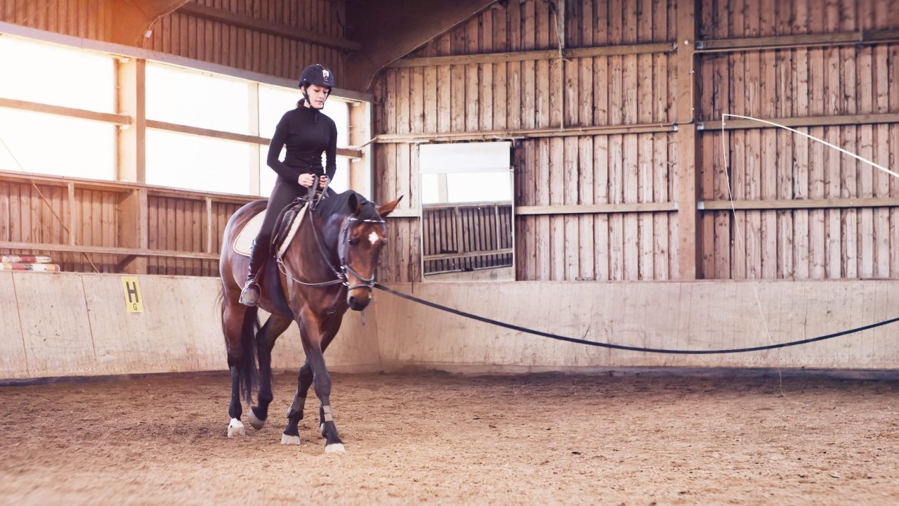 Young woman riding her horse in an indoor riding school on a lunging rein held by a third party, with copy space